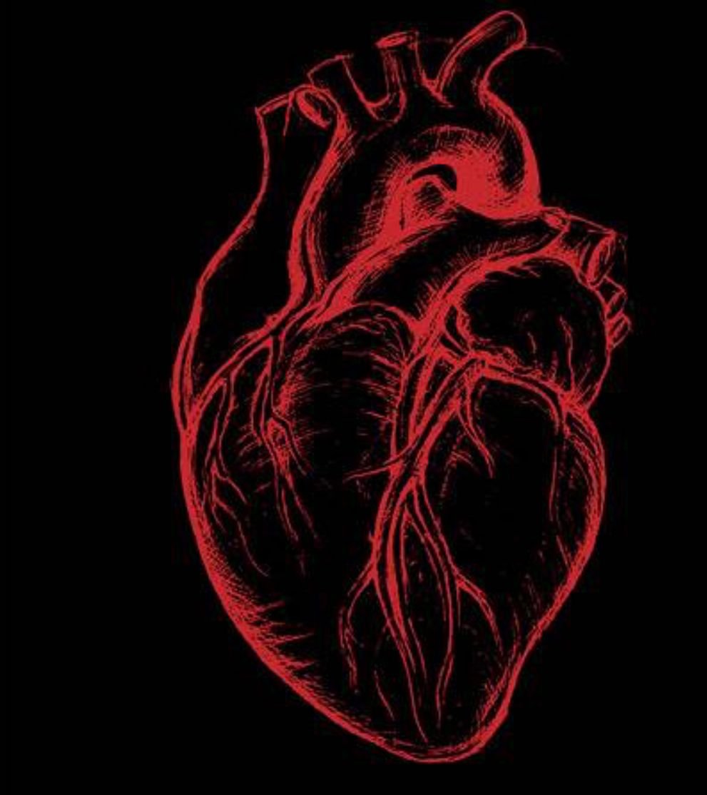 Человеческое сердце на черном фоне