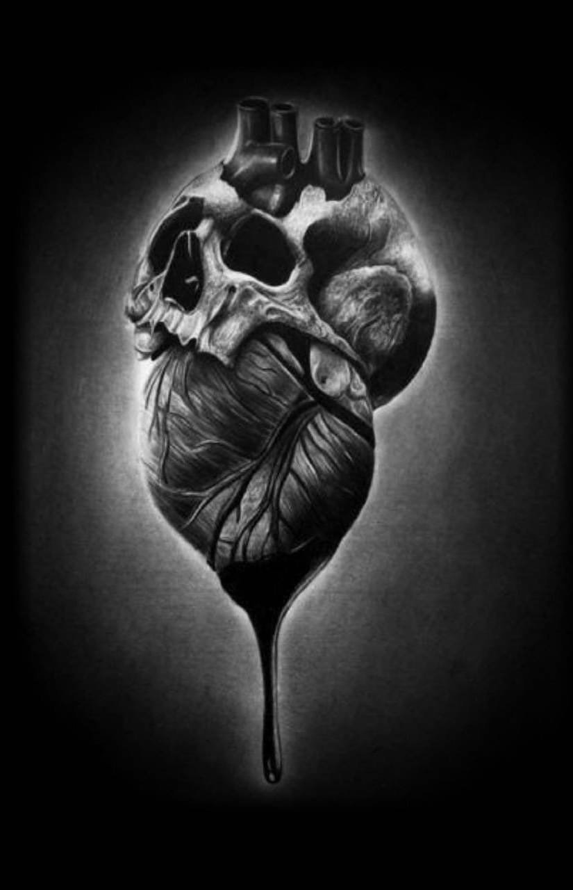 Сердце человека разрезанное