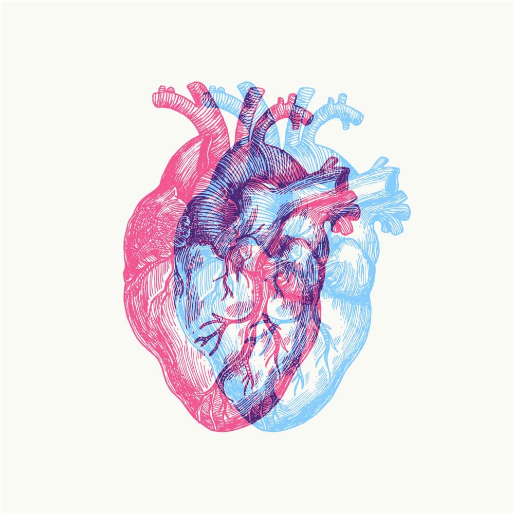 Сердце акварель