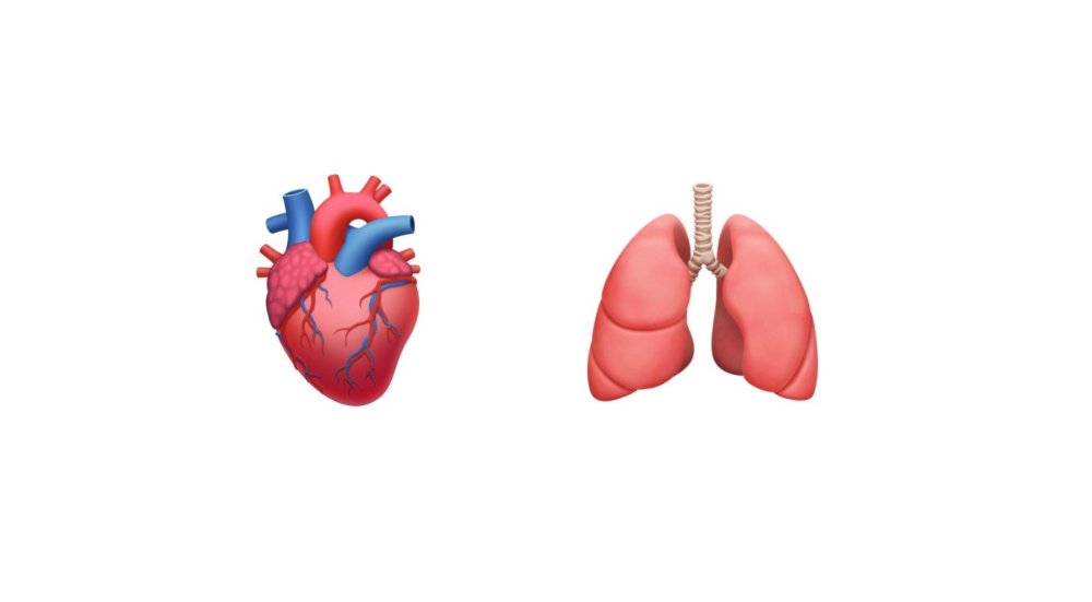 Сердце настоящее стилизация