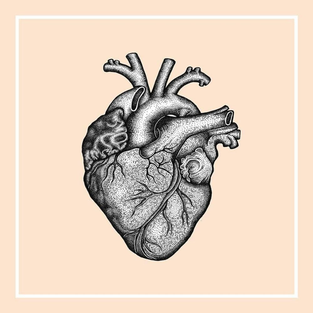 Человеческое сердце арт