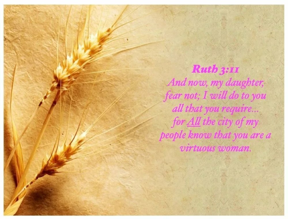 Фон колоски