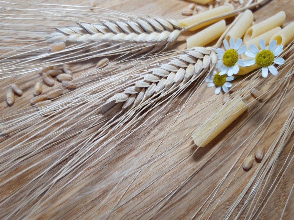Мука колосья