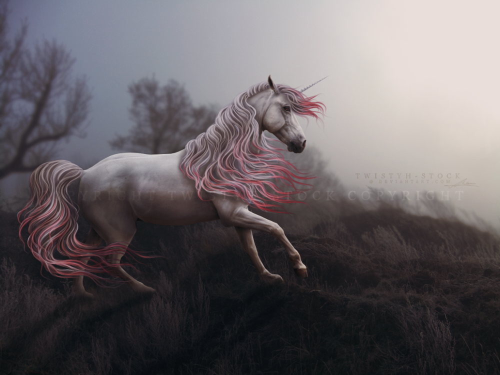 Арты лошадей. Единорог. Единорог арт. Розовый конь. Розовые кони видео