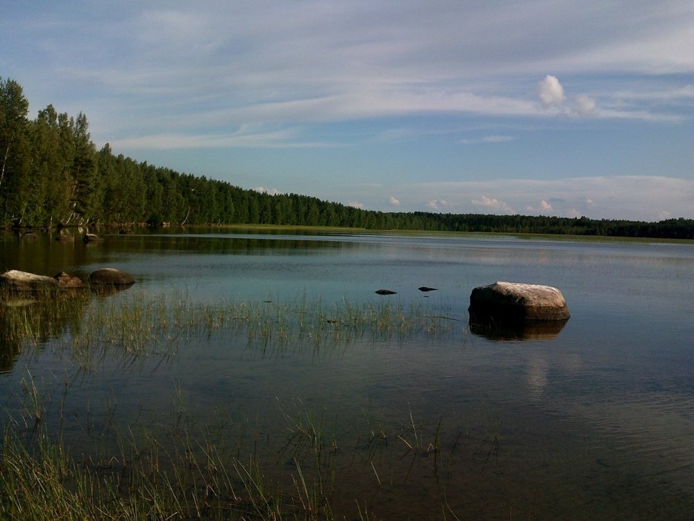 Озеро лайдака в токсово - 65 фото