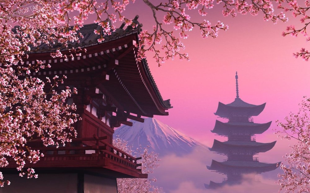 Самурай жек подисакурой