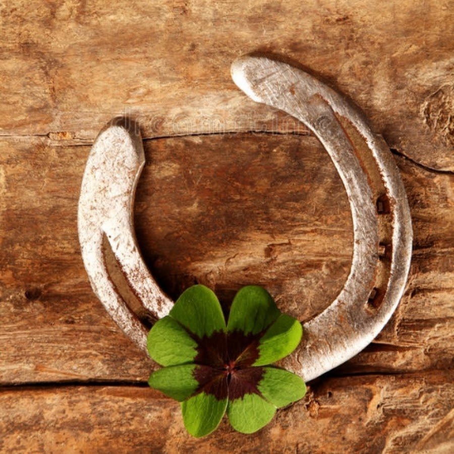 Подкова с клевером
