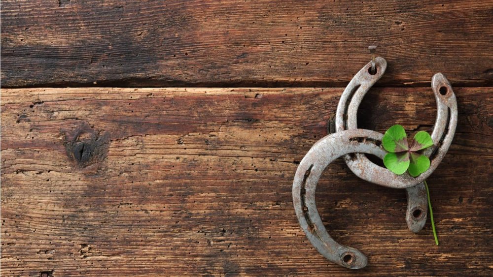 Подкова с клевером