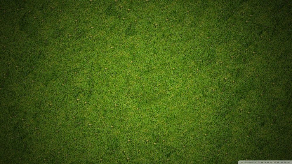 Трава вид сверху