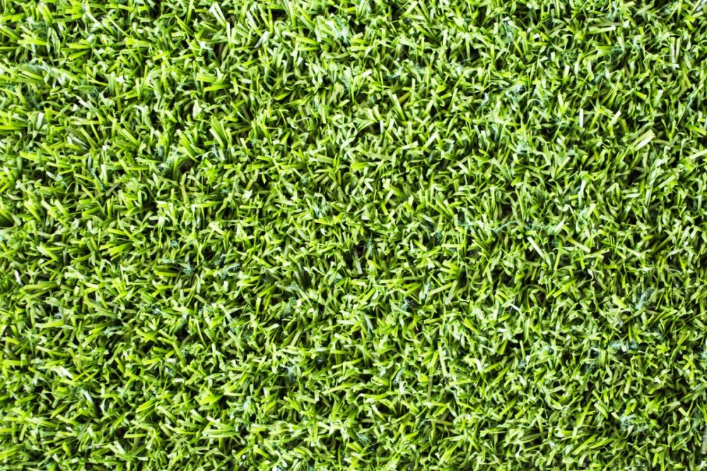 Искусственная трава