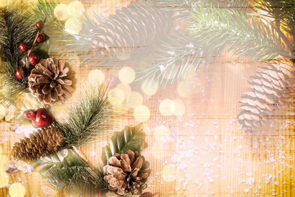 Новогодний фон с еловыми ветками