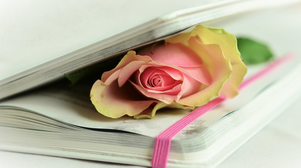 Перо поэзия