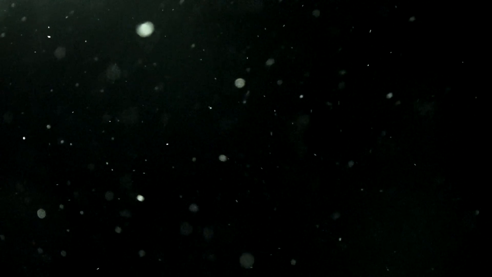 Черная пыль