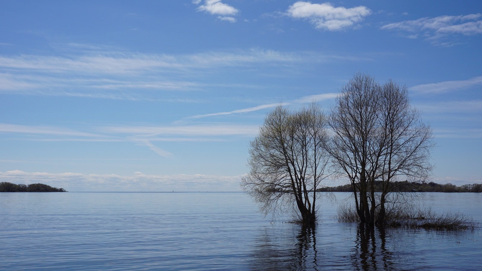 Озеро Ильмень Челябинская область. Озеро Ильмень Великий Новгород. Озеро Ильмень зимой. Озеро Ильмень осенью. Озеро ильмень рыбалка