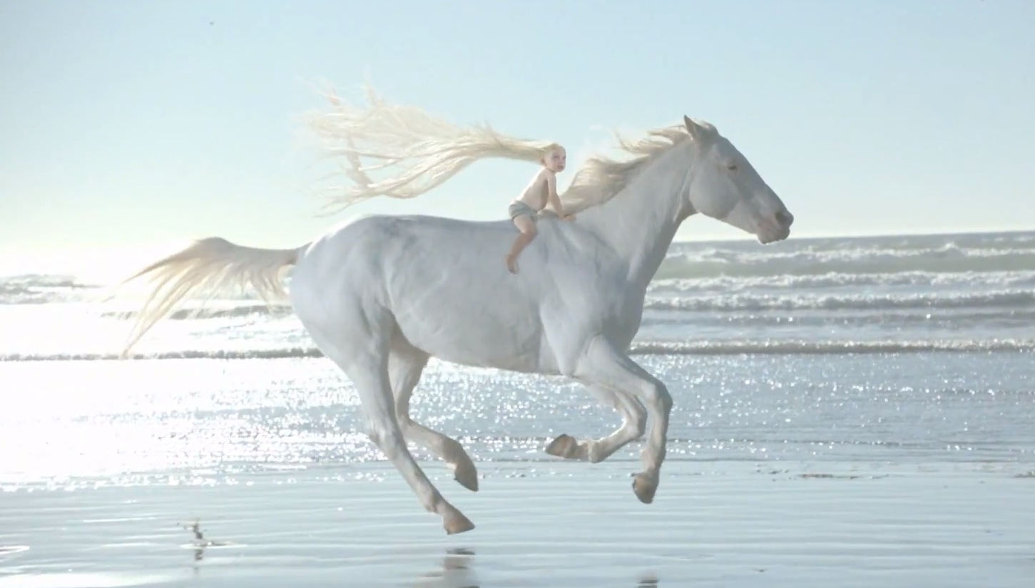 Белые кони кадышевой. Белая лошадь. Лошадь бежит. Красивая лошадь бежит. Белая лошадь бежит.