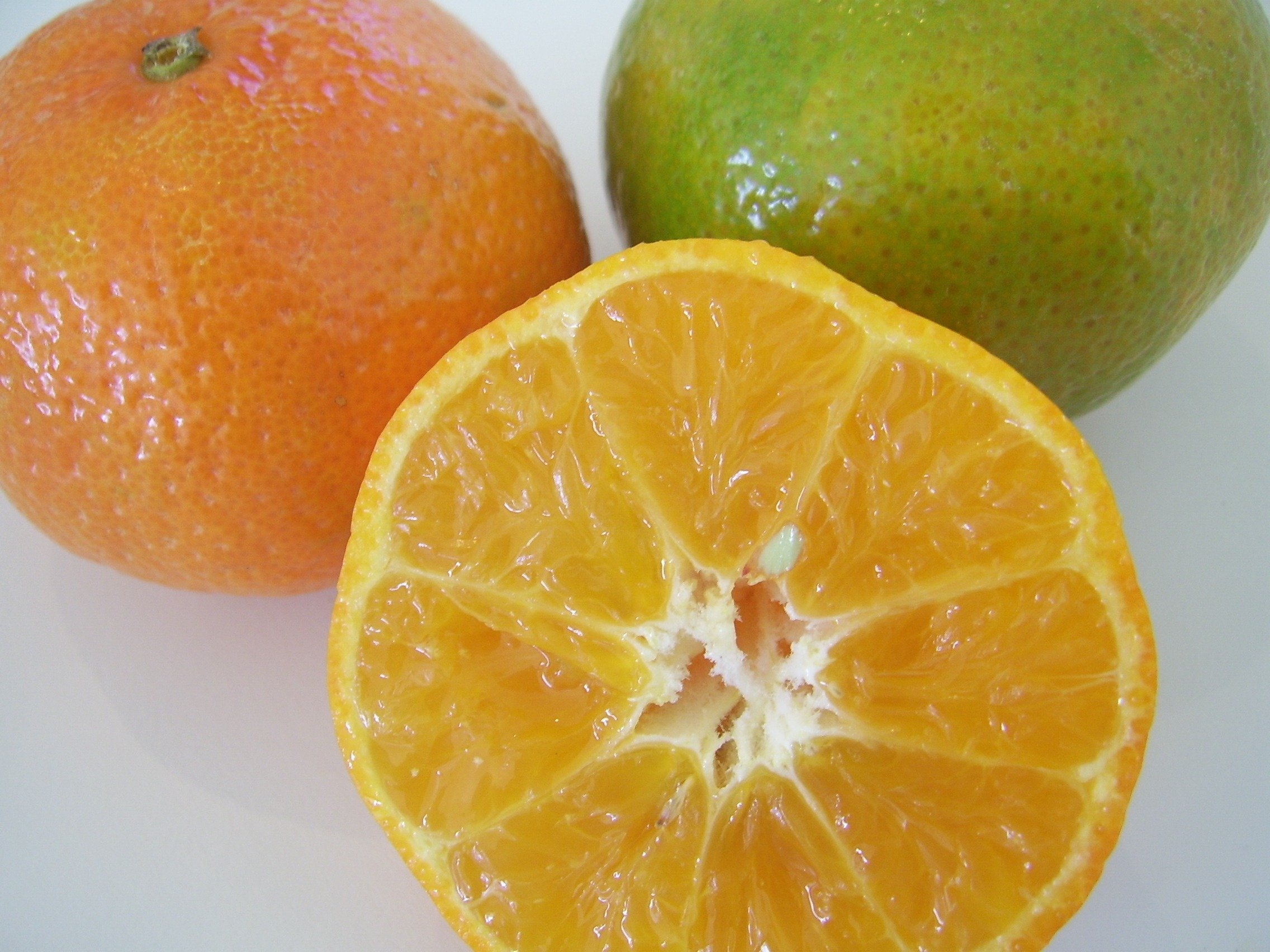 Фрукт похожий на апельсин. Мандарин. Цитрусовые фрукты. Зелёный фрукт похожий на апельсин. Цитрусовые фрукты это