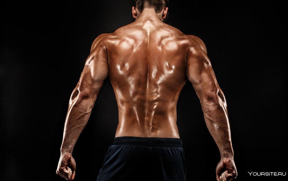 Накаченная спина руки вниз