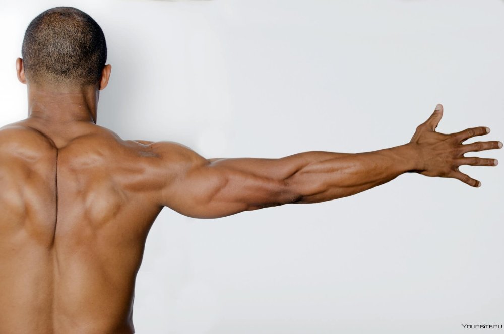Широкая мужская спина