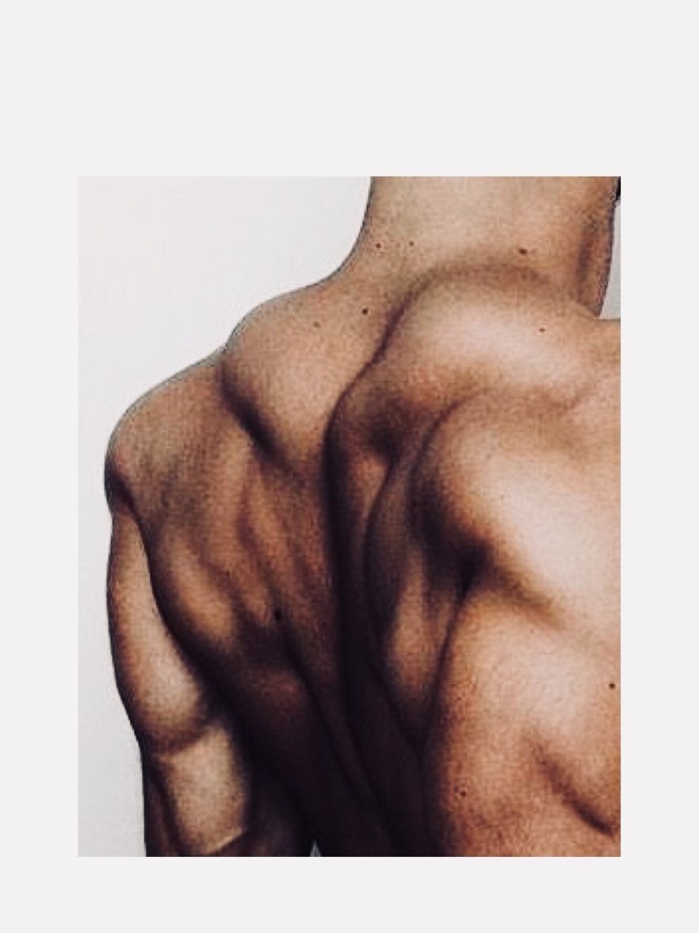 Мужские части тела