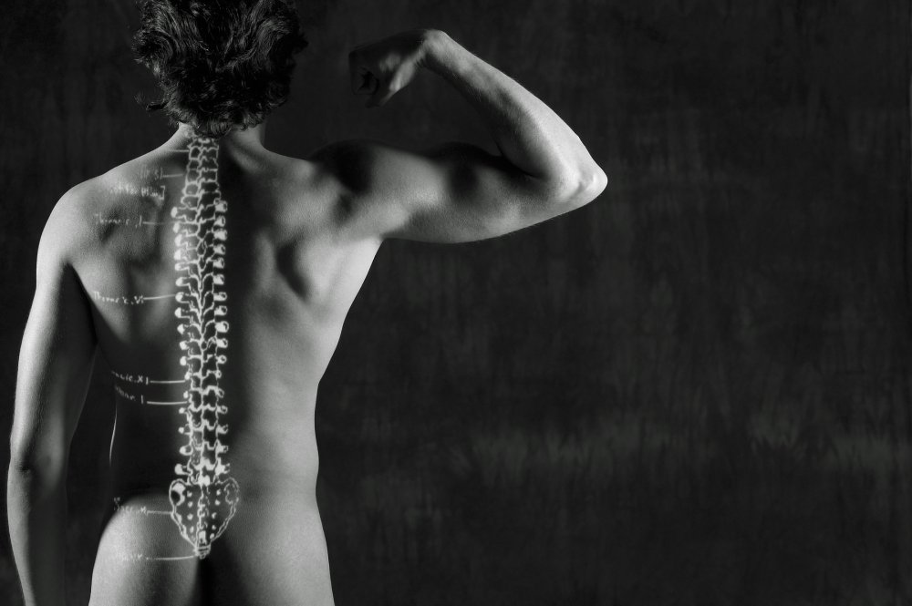 Здоровый позвоночник