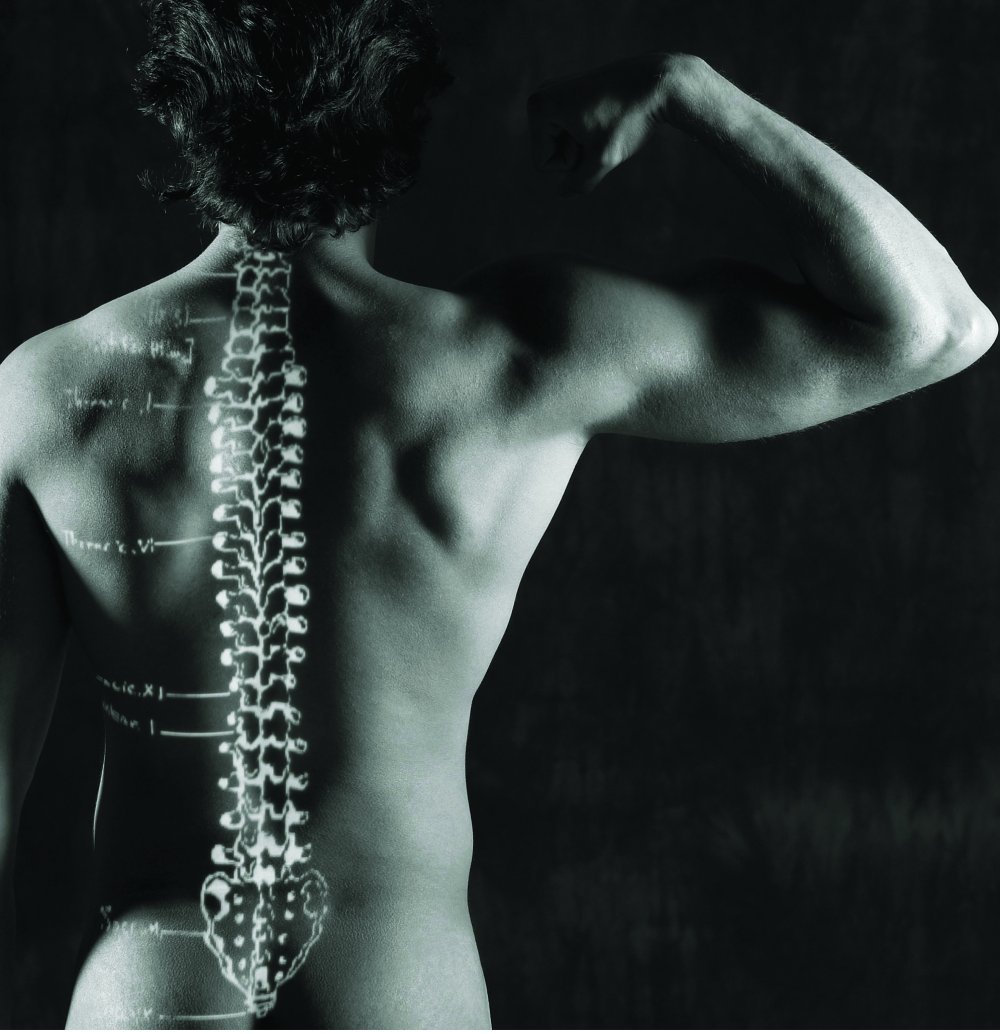 Красивый позвоночник