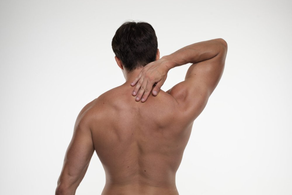 Болейщики вид со спины