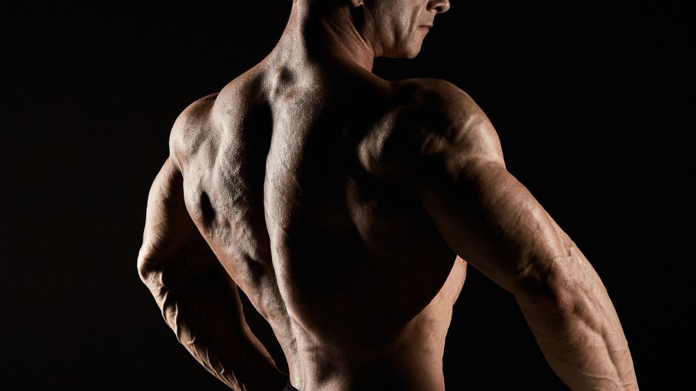 Накаченная спина мужская