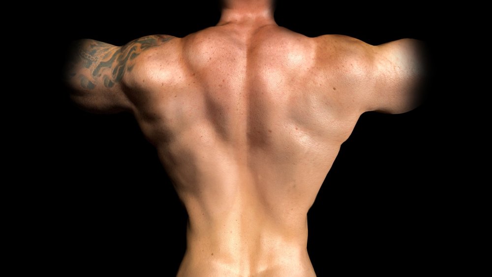 Широкая мужская спина