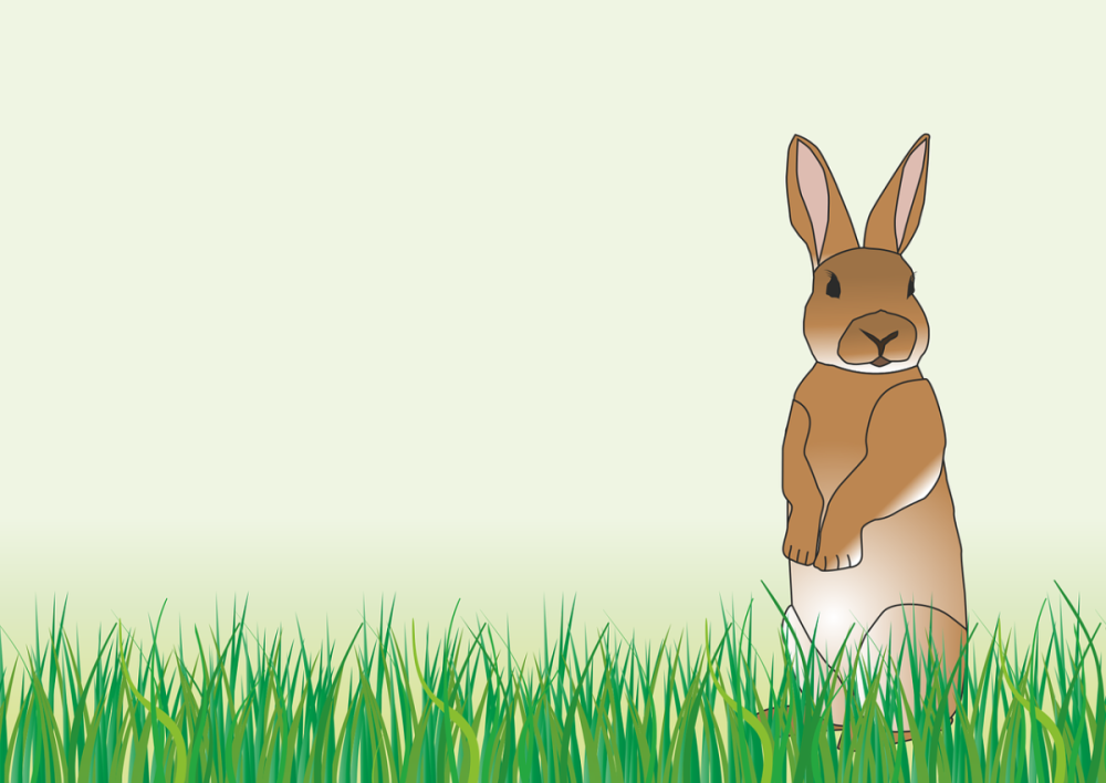 Фон с мультяшными зайчиками