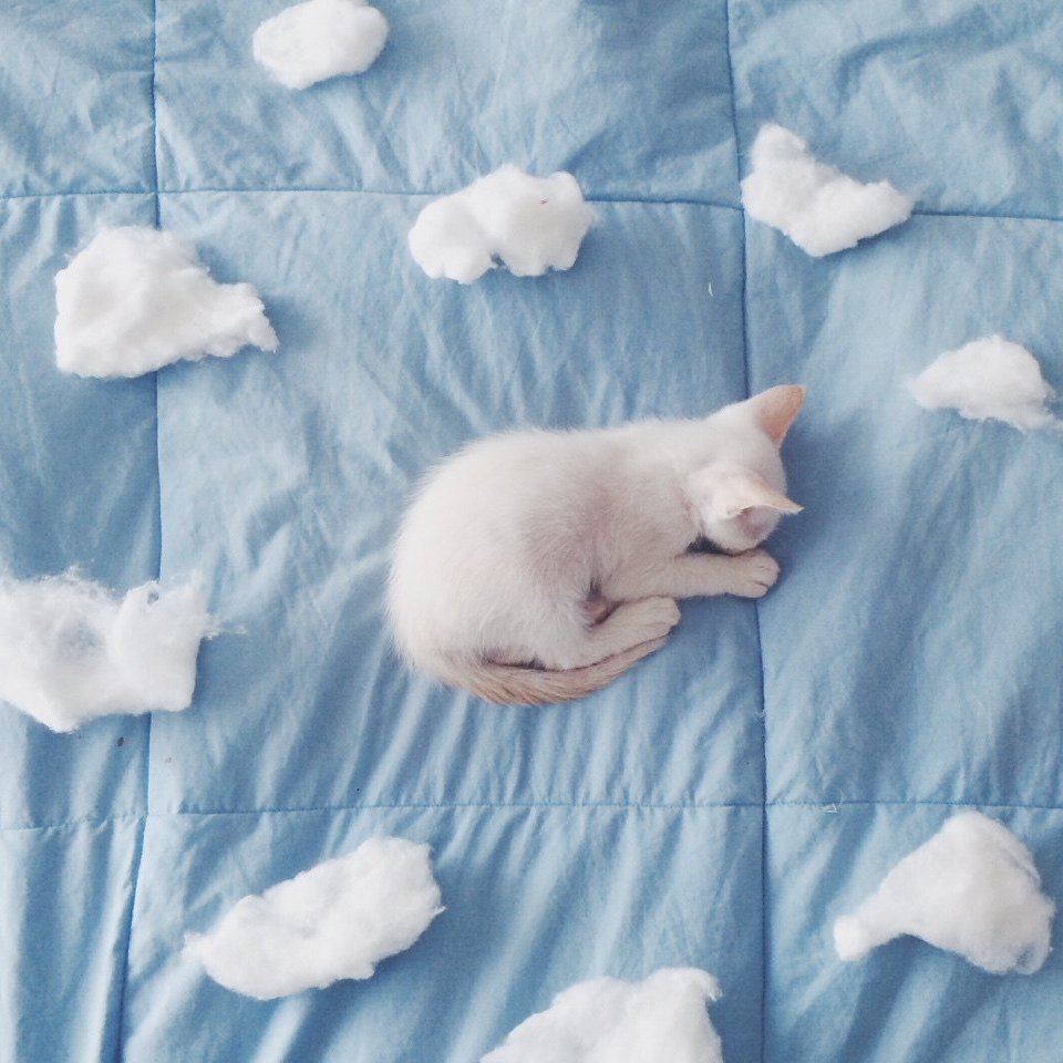 Эстетика светло голубого