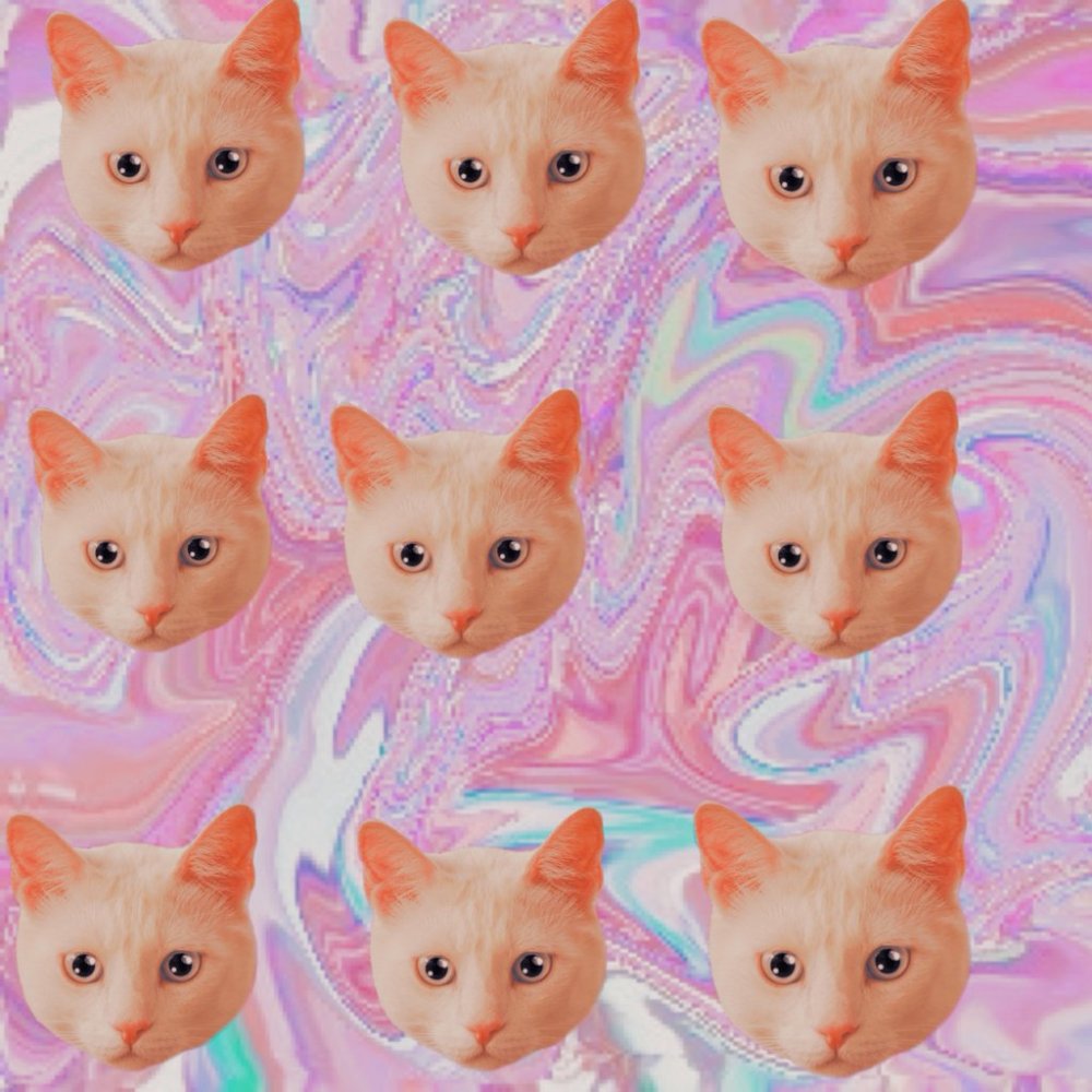 Кошачий фон