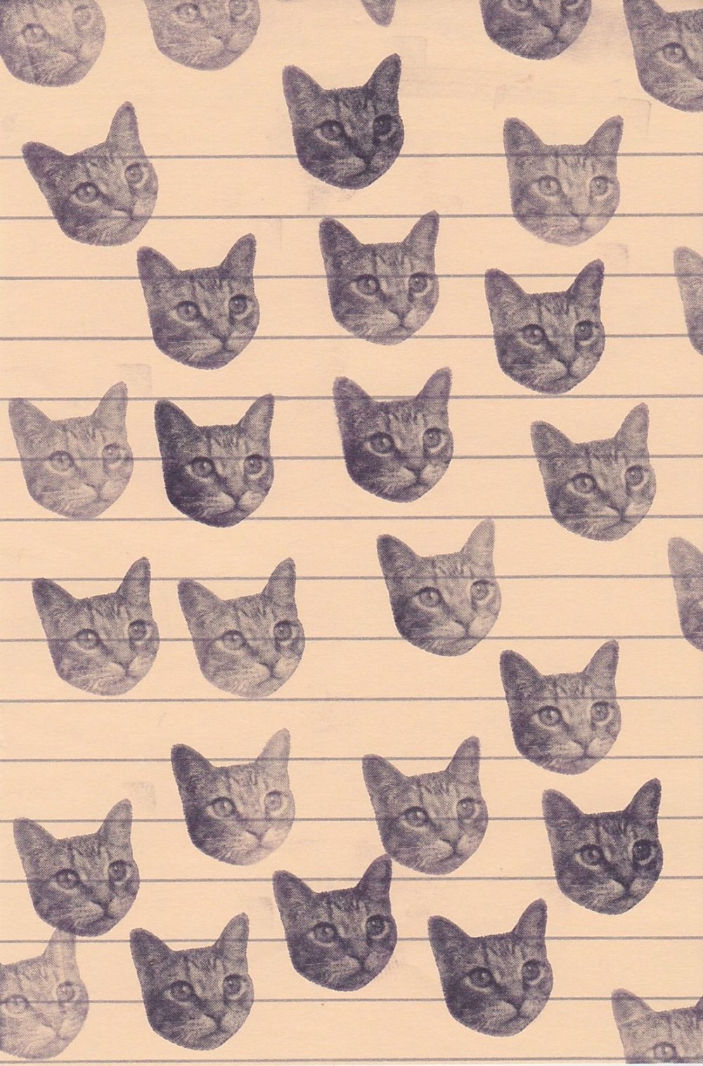 Паттерн котики