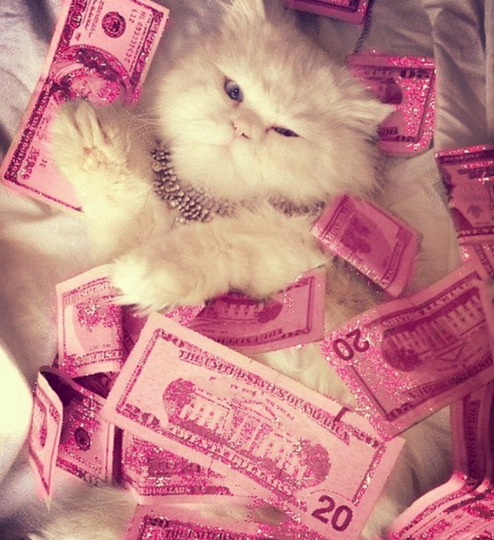 Эстетика кошек коллаж