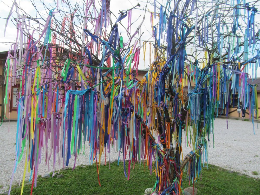 Дерево с ленточками