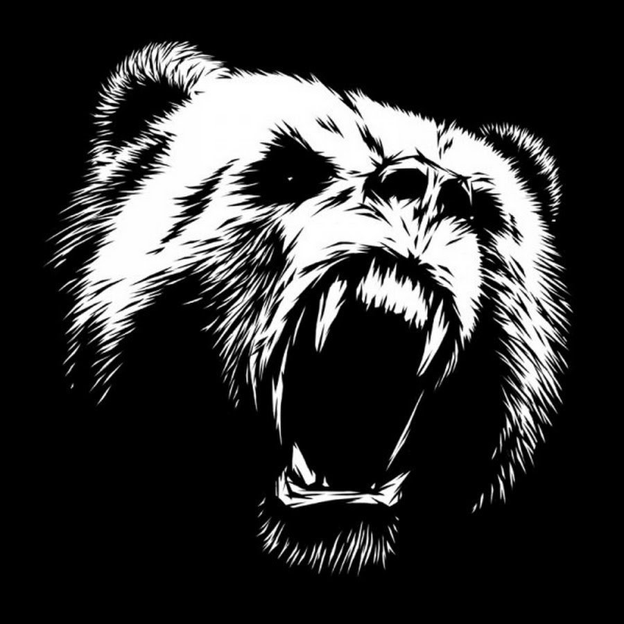 Нарисованный медведь на черном фоне