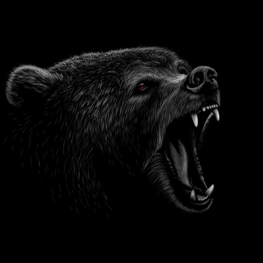 Медведь на черном фоне