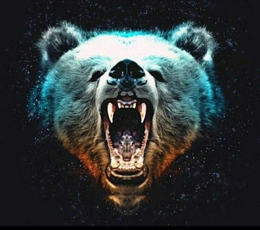 Медведь на аву