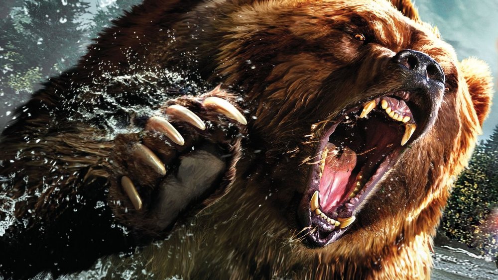 Медведь Гризли злой