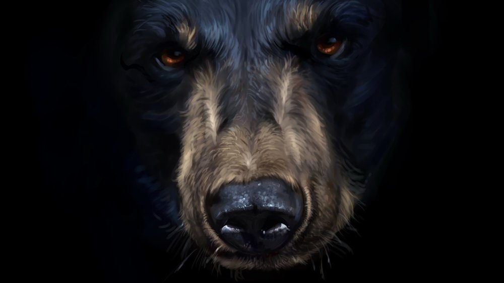 Медведь на темном фоне