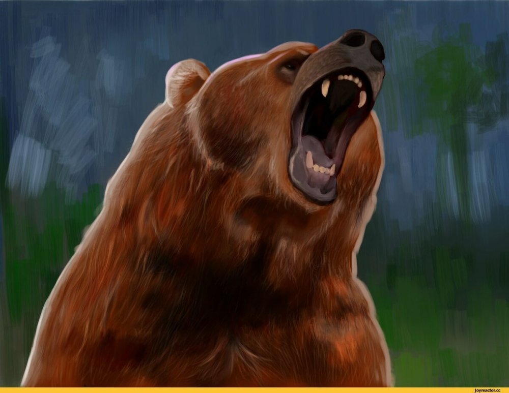 Классный медведь