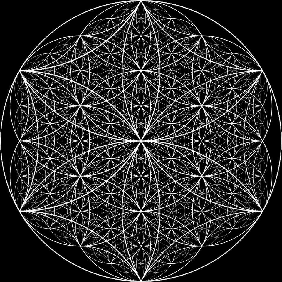 Майкл Эванс Сакральная геометрия