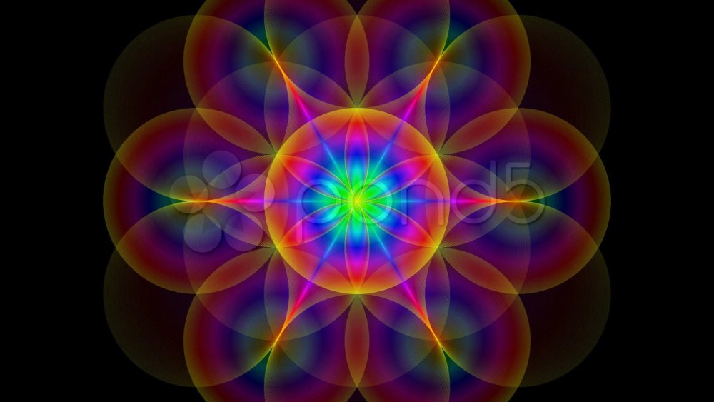 Цветок жизни