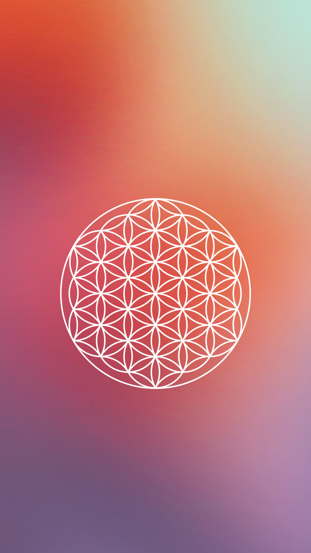 Цветок жизни розовый