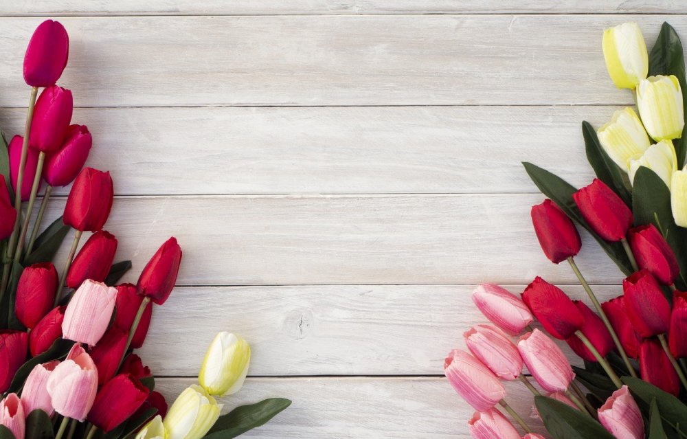 Тюльпаны фон