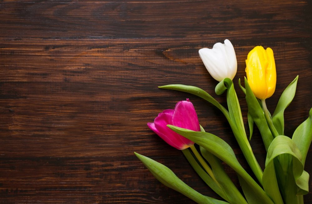 Тюльпаны на деревянном столе