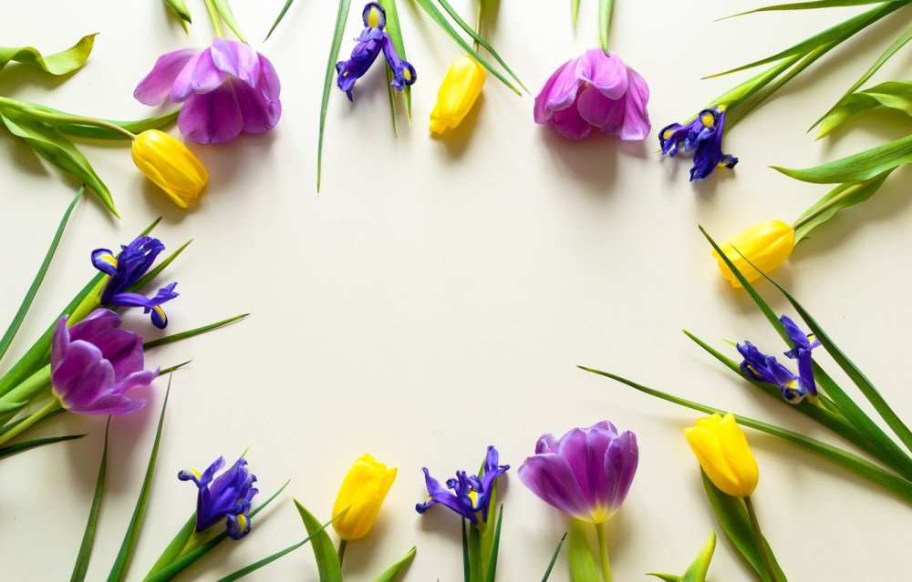 Букет ирисов и тюльпаны на фоне