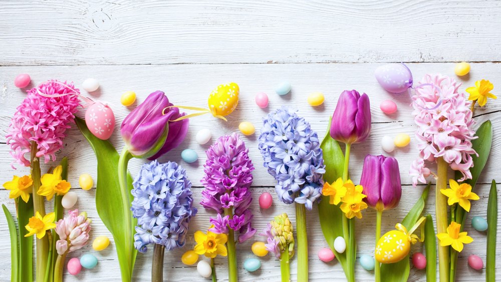 Яркие весенние цветы