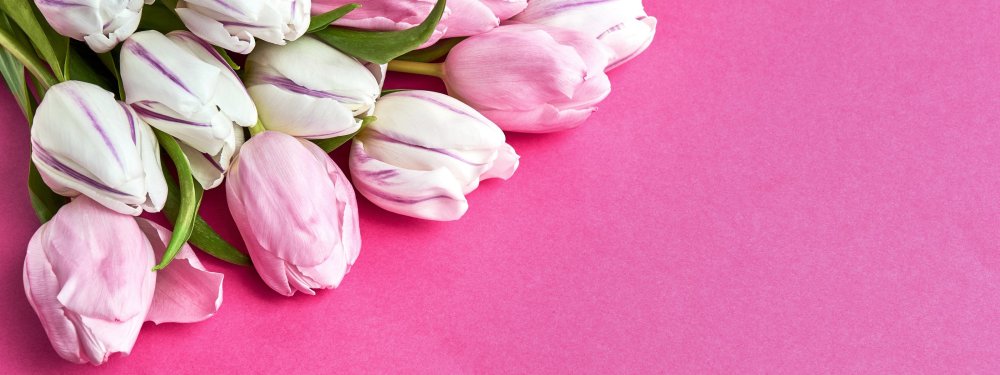 Розовые тюльпаны на розовом шелке