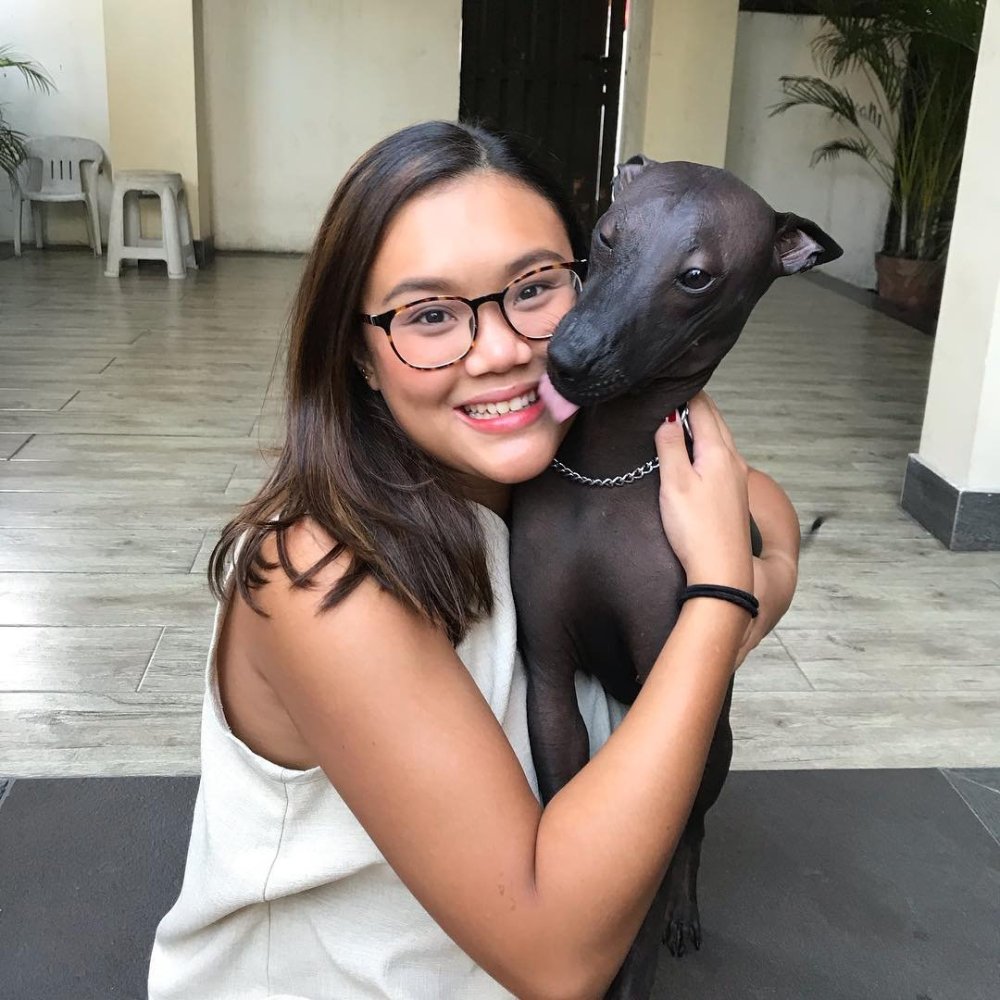 Французский бульдог худой