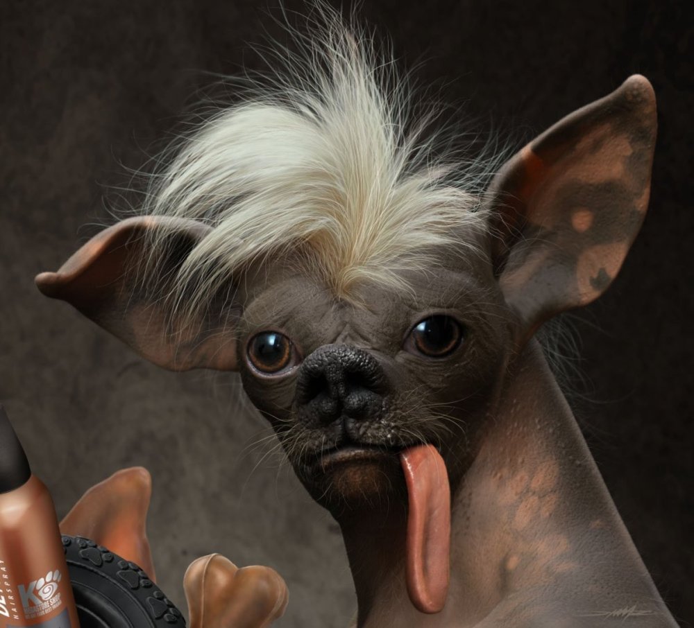 Мексиканская хохлатая собака